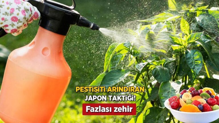 sebze-meyvedeki-pestisiti-yok-eden-japon-taktigi-evdeki-2-malzeme-yetiyor-JOQjNfyc.jpg