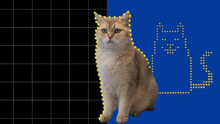 dunyanin-en-kucuk-kedi-videosu-olusturuldu-hZr7eJNH.jpg