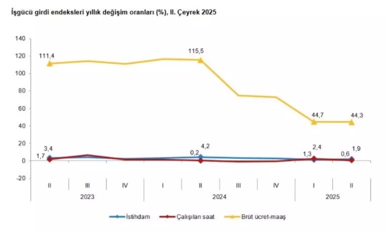 tuik-2025-2-ceyrek-is-gucu-istatistiklerini-acikladi-y5jLYlrM.jpg