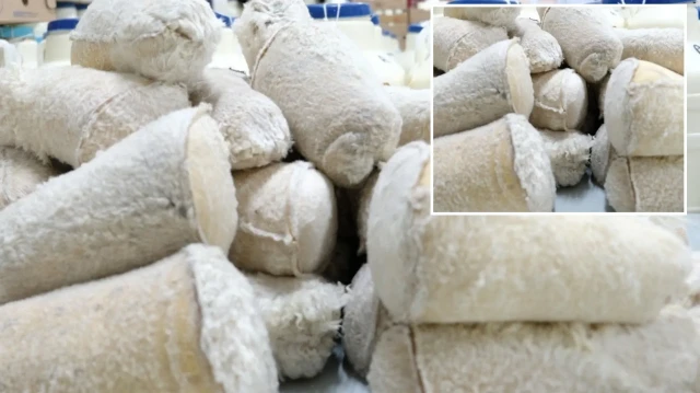 cuval cuval cikariyorlar nami tum turkiyeyi sardi 120 gun saklaniyor her yerden talep yagiyor 3bZAA447