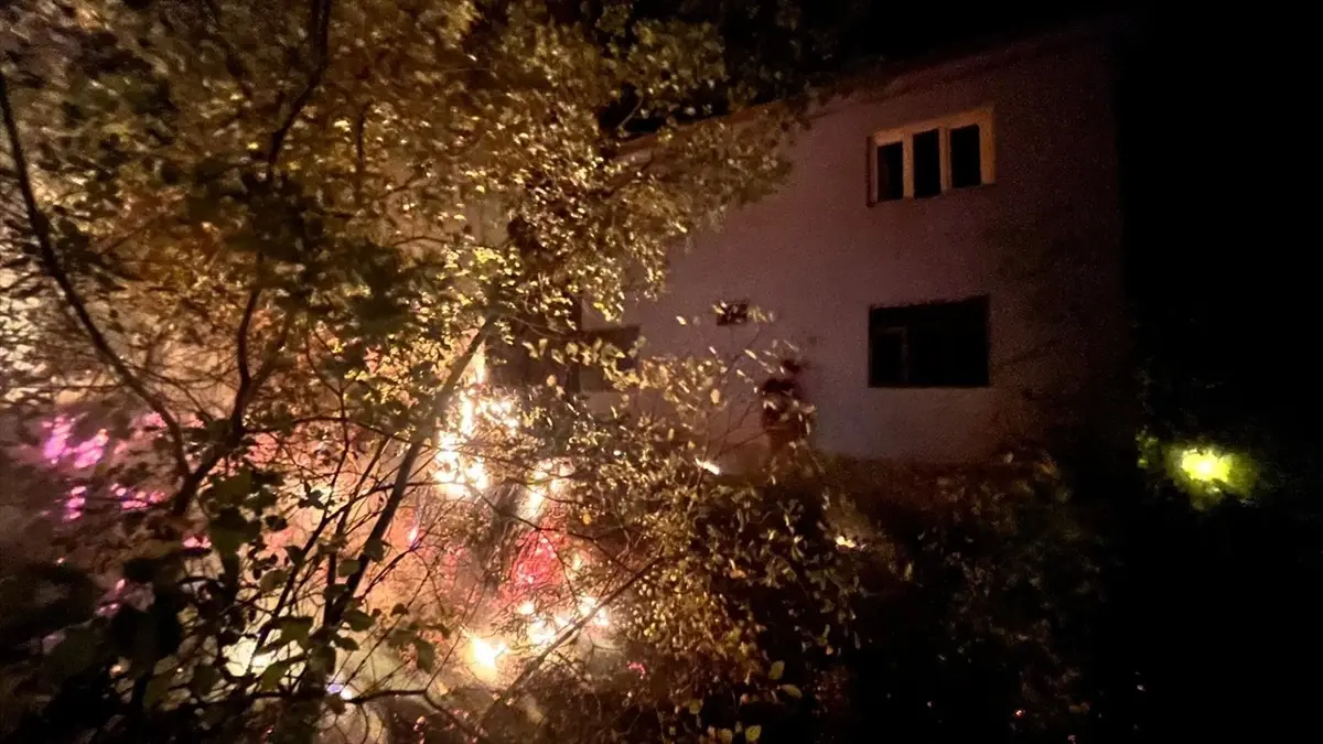 fekede yangin dumandan etkilenme vakasi GP43tTcN