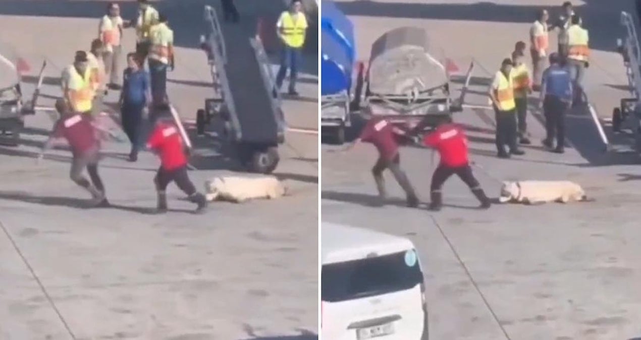 istanbul havalimanindaki goruntulerle ilgili skandal iddia Mm2TbZTb