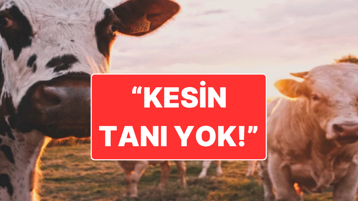 ankarada deli hastasi oldugu iddia edilmisti hastane iddialari yalandi tetkiklerin surdugunu acikladi zPLf4sUK.jpg