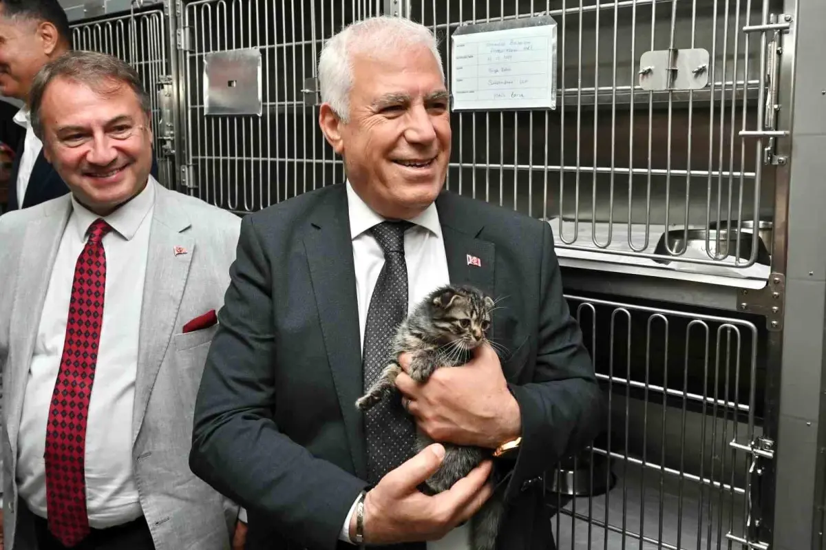 bursada sokak hayvanlarina sefkat eli gumustepe bakimevi 45yVPOrS