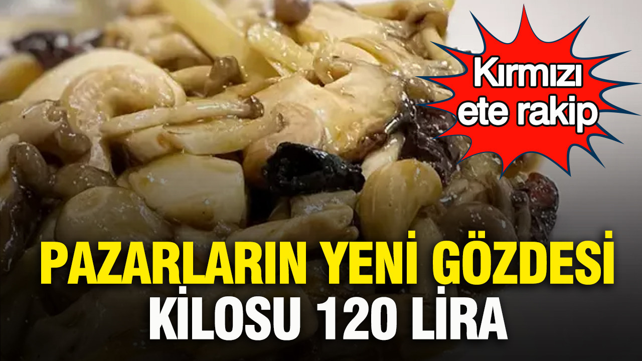 2026 YILI NİĞDE KURBAN BAYRAMI NAMAZI SAATİ || Niğde’de Bayram Namazı Ne Zaman, Saat Kaçta Kılınacak?