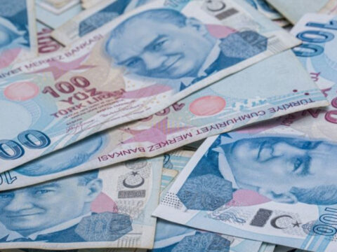 ** Sindirim Sisteminin Temel Fonksiyonları ve Yapısı