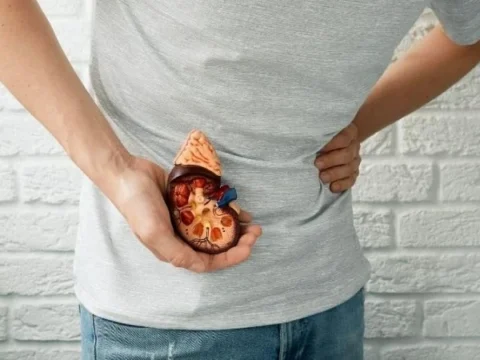 Yetersiz Su Tüketimi, Böbrek Taşı Riskini Artırıyor
