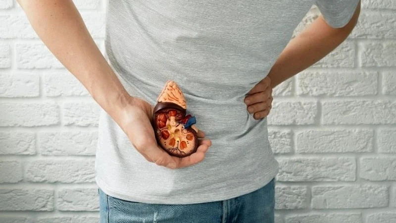 Yetersiz Su Tüketimi, Böbrek Taşı Riskini Artırıyor