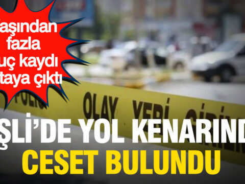 Sislide yol kenarinda ceset bulundu yasindan fazla suc kaydi ortaya cikti UXceJv8l